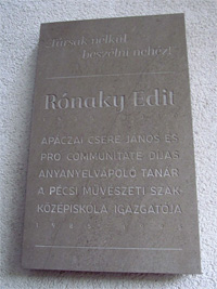 Ronaky_Edit_emlektabla